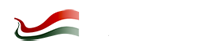 Daily News Hungary logo